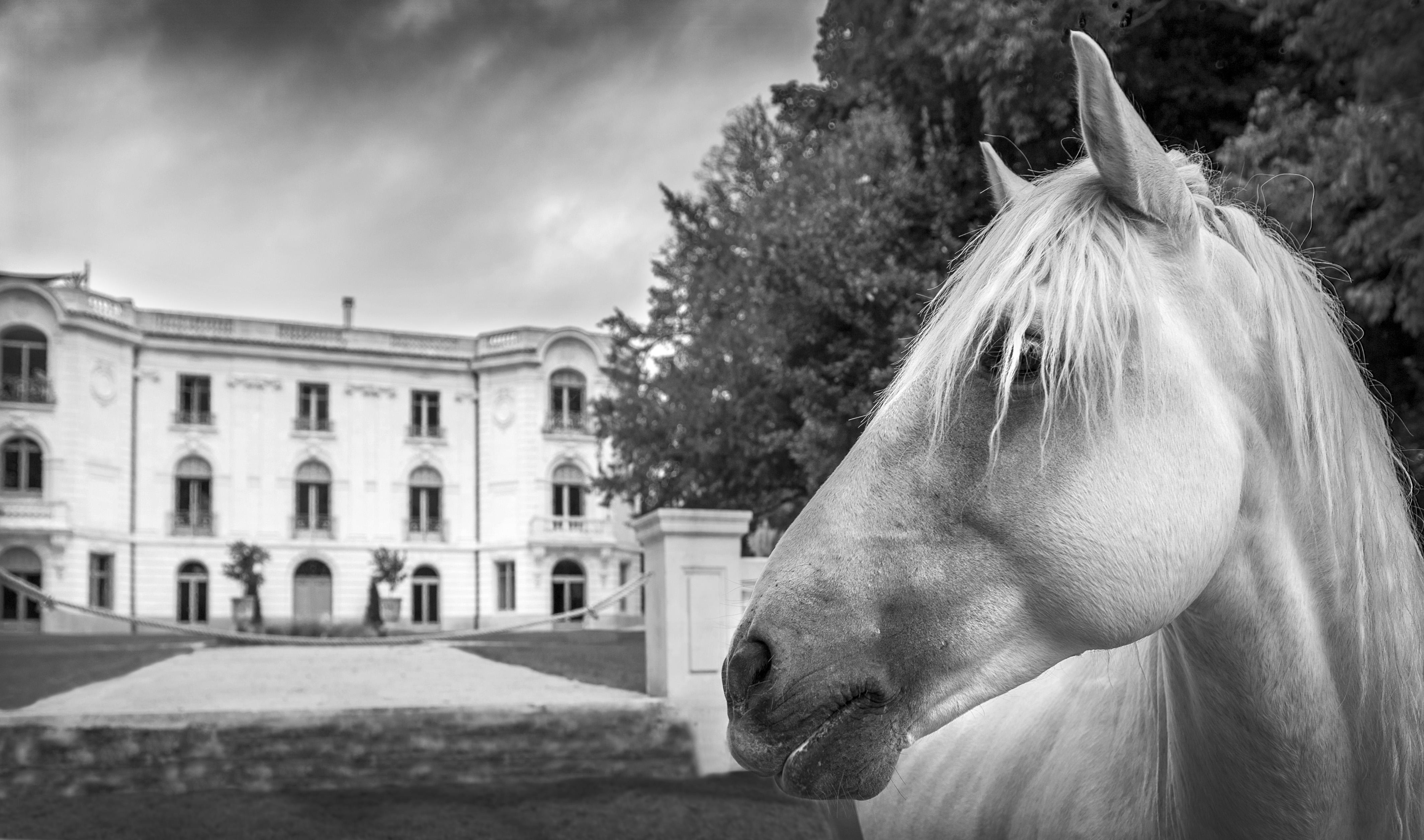 Hotel Domaine De Biar Montpellier Exterior foto